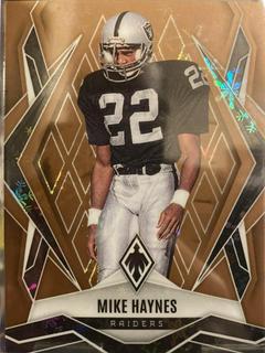 Mike Haynes