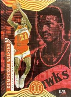 Dominique Wilkins