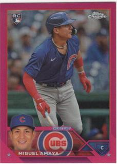 Miguel Amaya