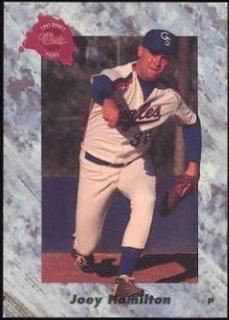 Joey Hamilton
