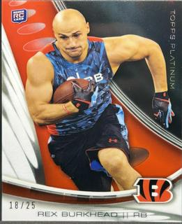 Rex Burkhead