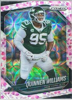 Quinnen Williams