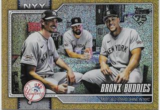 Bronx Buddies