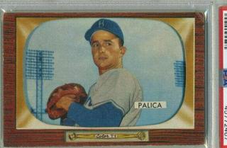 Erv Palica