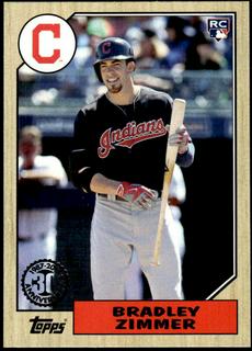 Bradley Zimmer