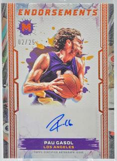 Pau Gasol
