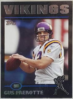 Gus Frerotte