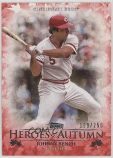 Johnny Bench