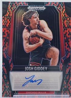 Josh Giddey