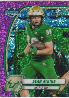 Sean Atkins