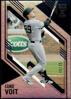 Luke Voit