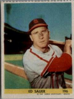 Ed Sauer