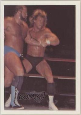Lex Luger, Arn Anderson #7 Wrestling Cards 1988 Wonderama NWA