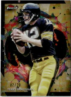 Terry Bradshaw