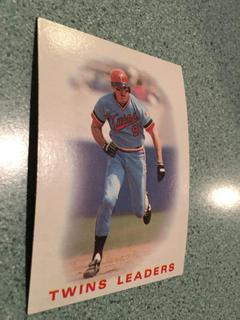 Twins Leaders