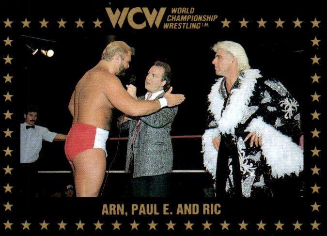 Arn, Paul E. and Ric #48 Wrestling Cards 1991 Championship Marketing WCW