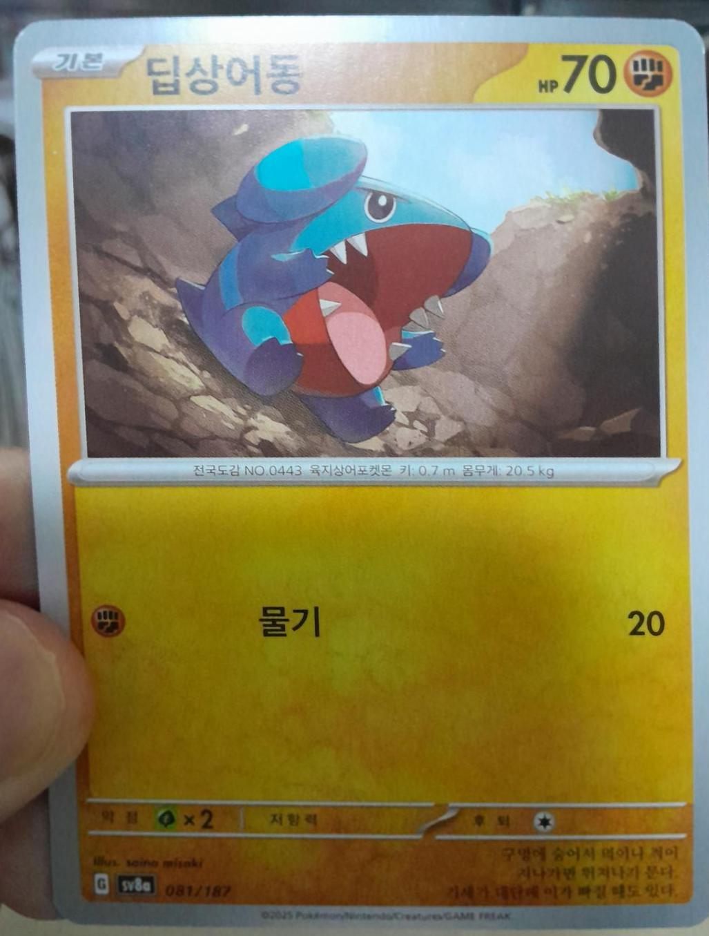 Gible, Terastal Festival ex card number 81