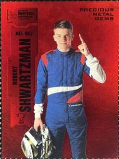 Robert Shwartzman