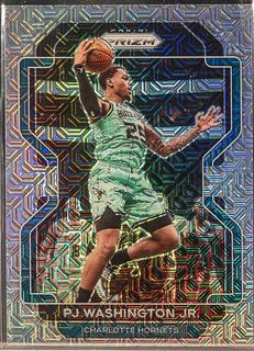 PJ Washington Jr.