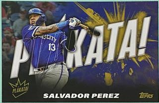 Salvador Perez
