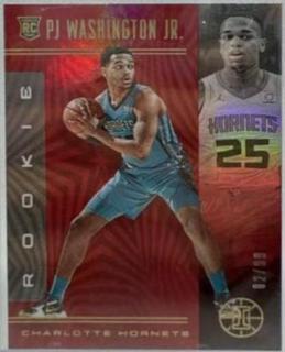 PJ Washington Jr.