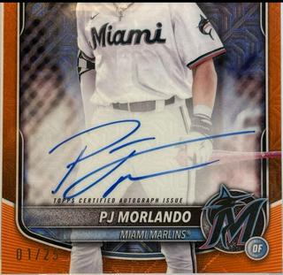 PJ Morlando