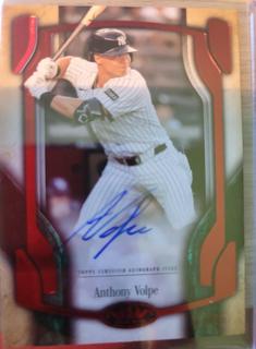 Anthony Volpe