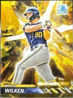 Brock Wilken
