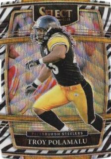Troy Polamalu