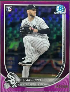 Sean Burke