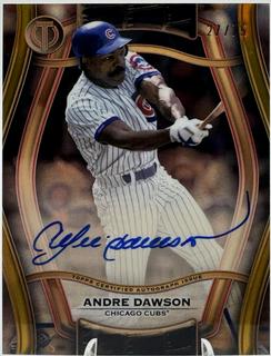 Andre Dawson