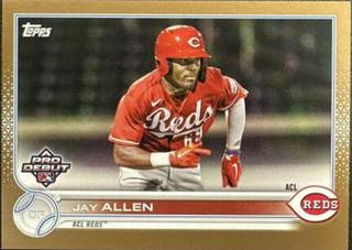 Jay Allen