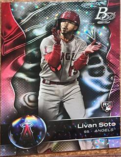 Livan Soto
