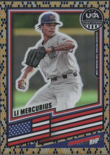 LJ Mercurius