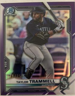 Taylor Trammell