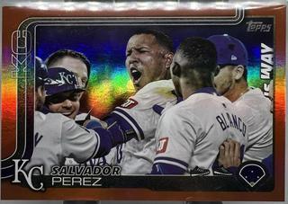 Salvador Perez