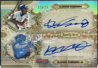 Vladimir Guerrero Jr. / Vladimir Guerrero