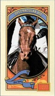 Spectacular Bid