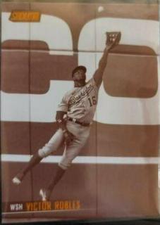 Victor Robles