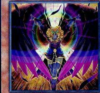 Dark Honest LIOV-JP022