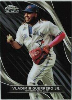 Vladimir Guerrero Jr.