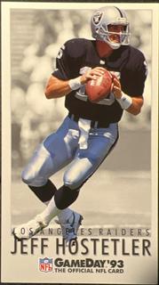 Jeff Hostetler