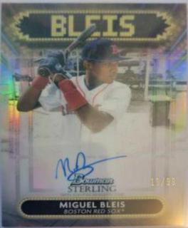 Miguel Bleis