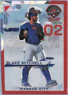 Blake Mitchell