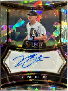 Seong-Jun Kim