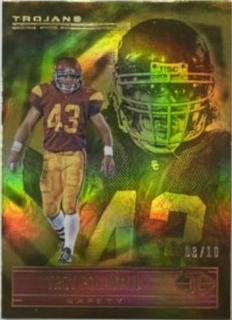 Troy Polamalu