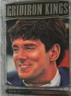 Drew Bledsoe