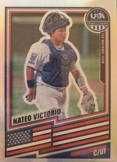 Nateo Victorio