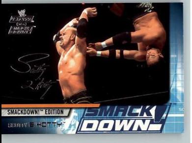 Scotty 2 Hotty #42 Wrestling Cards 2002 Fleer WWE Raw vs Smackdown