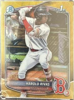 Harold Rivas